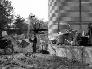 A man letting cereals fall into a tractor.