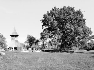 The unitarian church and the old oak tree