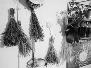 Bundles of dried herbs hanging on the walls