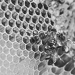 Thumbnail image for Beekeeping at Erletxe country house