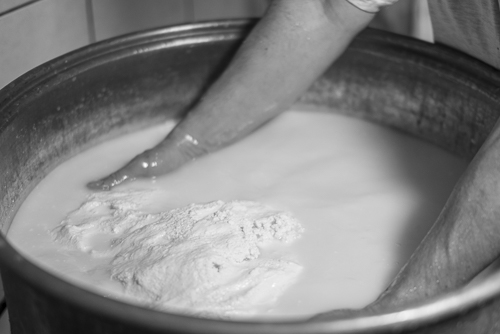 Separating curd from the whey by hand