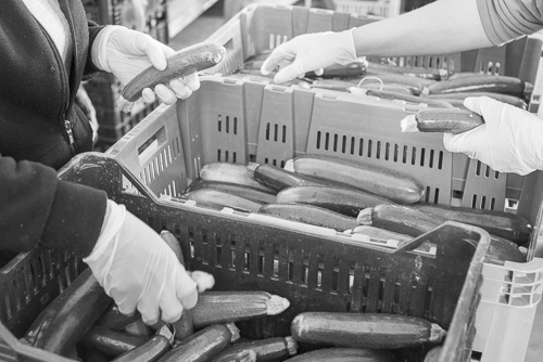 Sorting vegetables