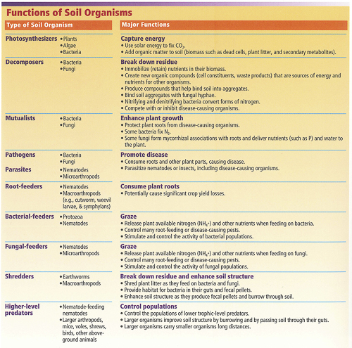 functions of soil organisms_w500