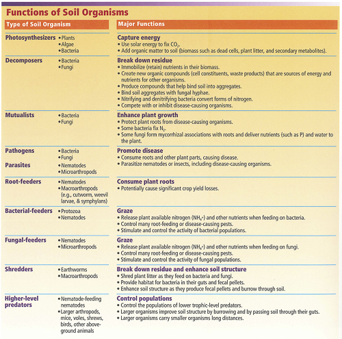 primary-functions-of-management-principles-of-management-images-and