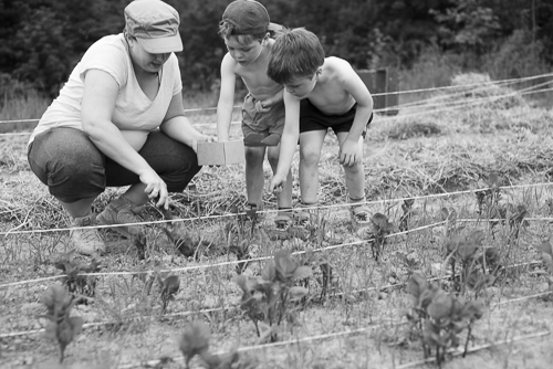Woman shows gardening to two young boys.