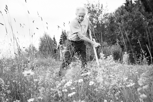 haymaking_2_w500