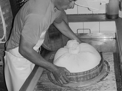 Preparing to compress the cheese inside a porous cloth