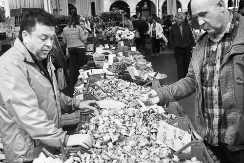 Shopping vegetables at  local market