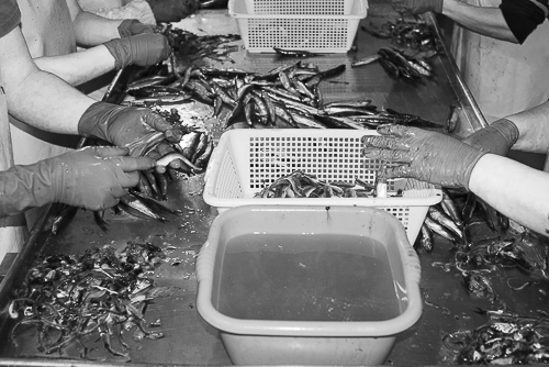 Preparing seafood